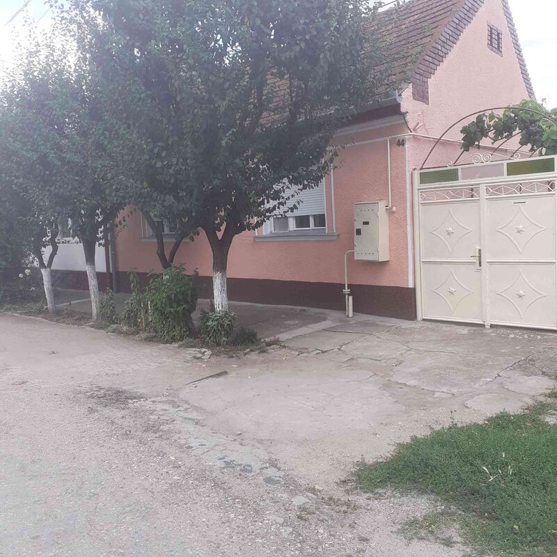 Arad Micalaca