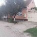 Arad Micalaca